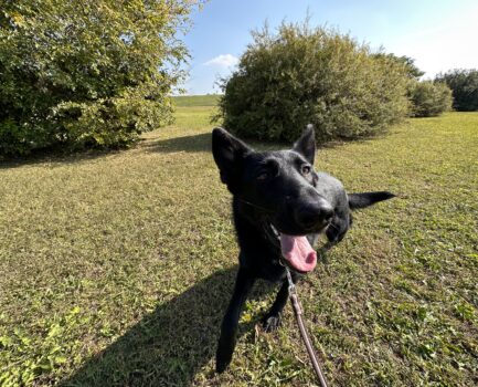 もうすぐ冬がやってくる~!