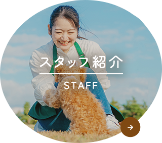 スタッフ紹介