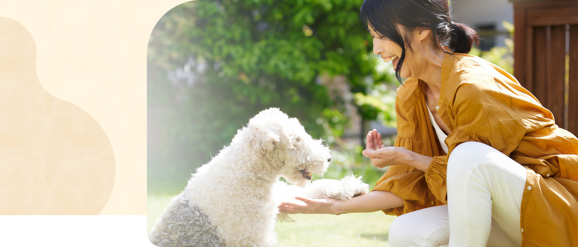 Dog School Yoku Mana