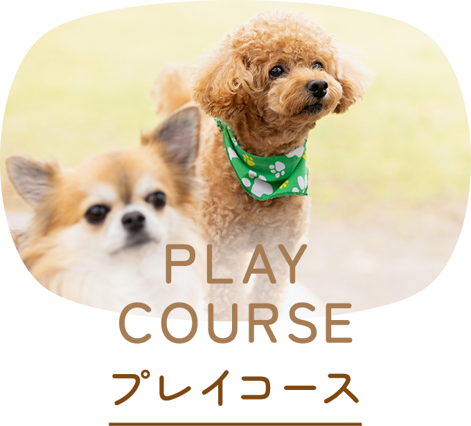 プレイコース