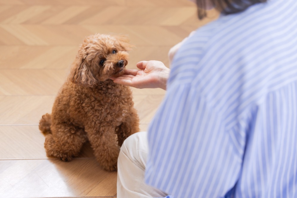 【STEP3】体験入学